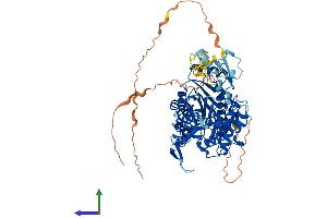 AlphaFold protein structure predicition of Mouse Recombinant Trmt1 Protein, UniprotID Q3TX08