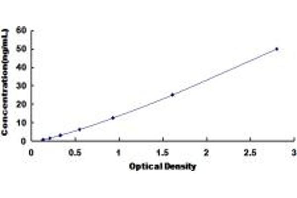 VLDLR ELISA Kit