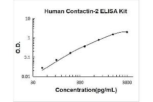 Contactin 2 (Axonal) (CNTN2) ELISA Kit