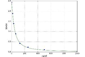 ELISA image for Testosterone ELISA Kit (ABIN5525861)