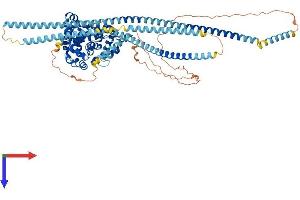EVI5L Protein (AA 1-794) (His tag)