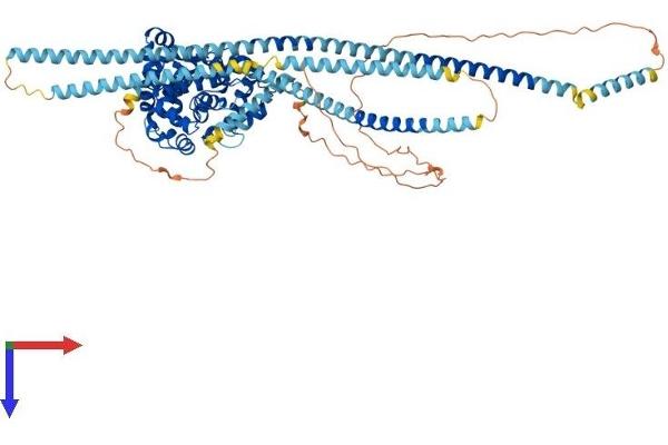EVI5L Protein (AA 1-794) (His tag)
