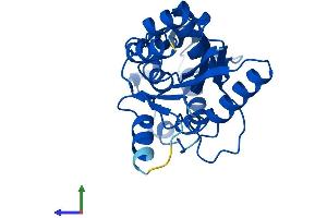 Protein Structure (PS) image for Phosphatase, Orphan 2 (PHOSPHO2) (AA 1-241) protein (His tag) (ABIN7550684)