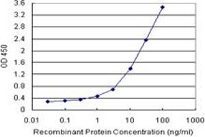 Sandwich ELISA detection sensitivity ranging from 3 ng/mL to 100 ng/mL. (HOXD8 (Human) Matched Antibody Pair)