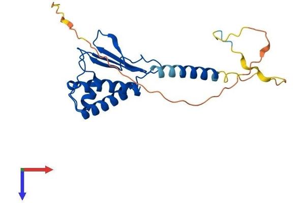 BTG4 Protein (AA 1-223) (His tag)