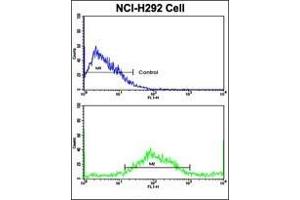 Flow Cytometric analysis of NCI-H292 cells using AP17730PU-N SAR1A Antibody (Center)(bottom histogram) compared to a negative control cell (top histogram). (SAR1A Antikörper  (Middle Region))
