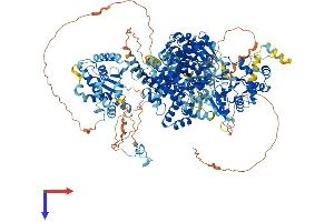 AlphaFold protein structure predicition of Mouse Recombinant Dhx57 Protein, UniprotID Q6P5D3