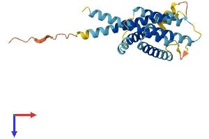 INSIG2 Protein (AA 1-225) (His tag)
