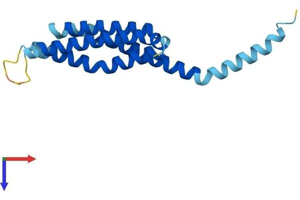 ALOX5AP Protein (AA 1-161) (His tag)