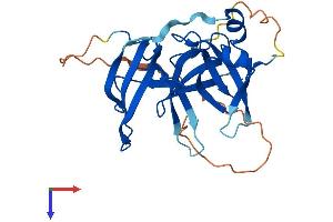 AlphaFold protein structure predicition of Human Recombinant SPIN3 Protein, UniprotID Q5JUX0
