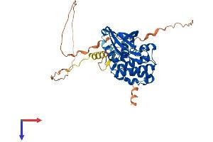 Aurora A Protein (AA 1-403) (His tag)