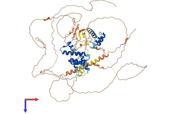 Six5 Protein (AA 1-739) (His tag)