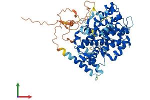Protein Structure (PS) image for Sestrin 3 (SESN3) (AA 1-492) protein (His tag) (ABIN7560756)