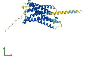 Protein Structure (PS) image for Purinergic Receptor P2Y, G-Protein Coupled, 10 (P2RY10) (AA 1-328) protein (His tag) (ABIN7558499)