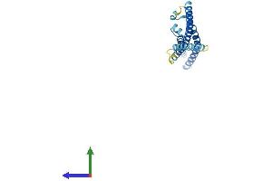 AlphaFold protein structure predicition of Human Recombinant MIS12 Protein, UniprotID Q9H081