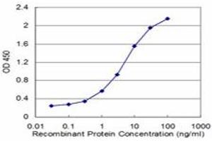 Detection limit for recombinant GST tagged CSNK1G2 is approximately 0. (Casein Kinase 1 gamma 2 Antikörper  (AA 315-415))