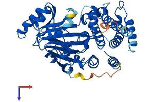 AlphaFold protein structure predicition of Mouse Recombinant Jmjd4 Protein, UniprotID Q8BFT6