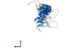 AlphaFold protein structure predicition of Human Recombinant TTI1 Protein, UniprotID O43156