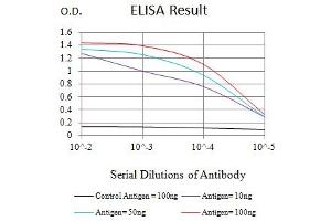 Black line: Control Antigen (100 ng),Purple line: Antigen (10 ng), Blue line: Antigen (50 ng), Red line:Antigen (100 ng) (SEMA7A Antikörper  (AA 48-222))