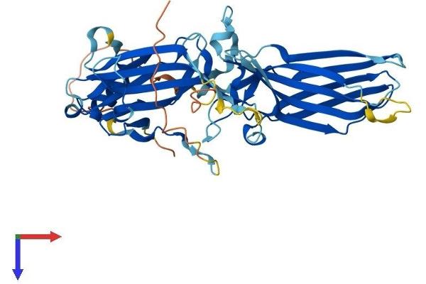 beta Arrestin 1 Protein (AA 1-418) (His tag)