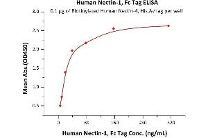 ELISA image for Poliovirus Receptor-Related 1 (Herpesvirus Entry Mediator C) (PVRL1) (AA 31-334) (Active) protein (Fc Tag) (ABIN6952290)