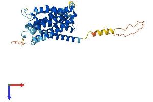 SLC10A1 Protein (AA 1-362) (His tag)