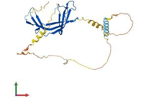 Protein Structure (PS) image for ELL Associated Factor 2 (EAF2) (AA 1-260) protein (His tag) (ABIN7547220)