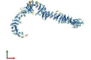 Protein Structure (PS) image for Maestro Heat-Like Repeat Family Member 2B (MROH2B) (AA 1-1581) protein (His tag) (ABIN7564184)