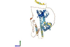 Protein Structure (PS) image for Potassium Voltage-Gated Channel, Shal-Related Subfamily, Member 3 (KCND3) (AA 1-655) protein (His tag) (ABIN7556359)