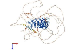 ARMCX2 Protein (AA 1-784) (His tag)