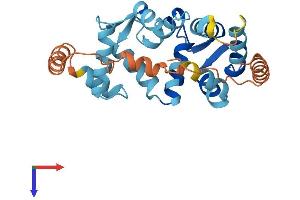 KCNIP4 Protein (AA 1-250) (His tag)