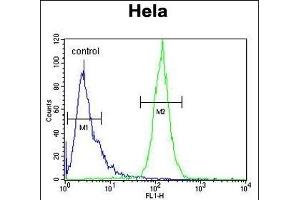 IC Antibody (Center) (ABIN653304 and ABIN2842804) flow cytometric analysis of Hela cells (right histogram) compared to a negative control cell (left histogram). (PPIC Antikörper  (AA 61-89))