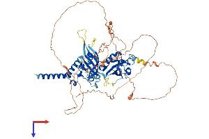 SIM2 Protein (AA 1-667) (His tag)