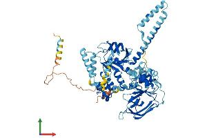 AlphaFold protein structure predicition of Human Recombinant ABCF2 Protein, UniprotID Q9UG63