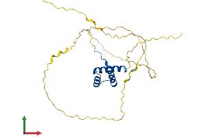 Protein Structure (PS) image for Mesenchyme Homeobox 1 (MEOX1) (AA 1-254) protein (His tag) (ABIN7554559)