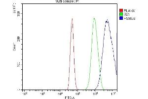 Flow Cytometry analysis of A431 cells using anti-Proteasome 20S Beta 6/PSMB6 antibody (ABIN7601899).