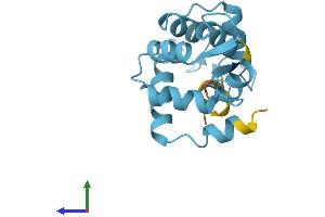 Protein Structure (PS) image for Cardiac Troponin C (TNNC1) (AA 1-161) protein (His tag) (ABIN7544499)