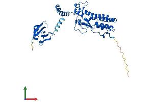 Protein Structure (PS) image for DNA Fragmentation Factor, 40kDa, beta Polypeptide (Caspase-Activated DNase) (DFFB) (AA 1-344) protein (His tag) (ABIN7562412)