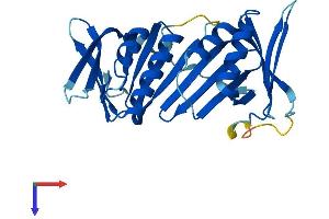 HUS1B Protein (AA 1-278) (His tag)
