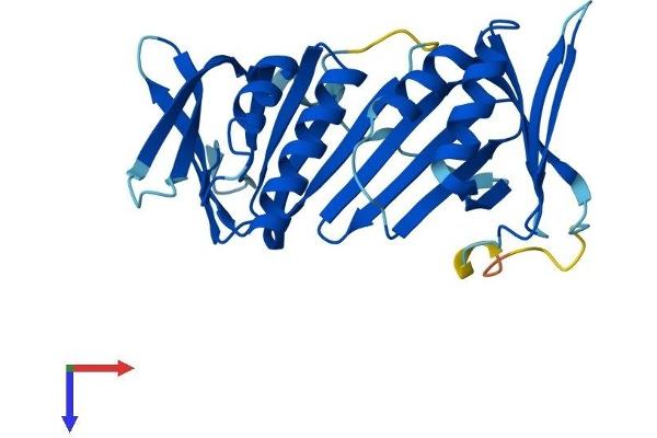 HUS1B Protein (AA 1-278) (His tag)