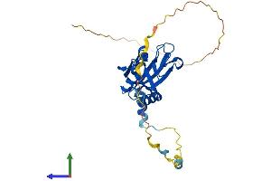 Protein Structure (PS) image for Centromere Protein V (CENPV) (AA 1-275) protein (His tag) (ABIN7553309)