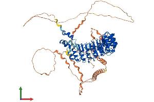 Protein Structure (PS) image for F-Box and Leucine-Rich Repeat Protein 17 (FBXL17) (AA 1-701) protein (His tag) (ABIN7547855)
