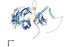 FAM62B Protein (AA 1-845) (His tag)