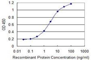 Detection limit for recombinant GST tagged PHF7 is 0. (PHF7 Antikörper  (AA 258-357))