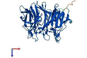 KLHDC8B Protein (AA 1-354) (His tag)