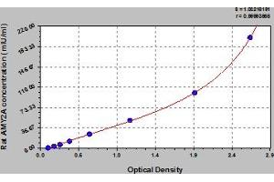 Typical Standard Curve (AMY2A ELISA Kit)