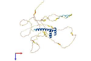 HOXA10 Protein (AA 1-416) (His tag)