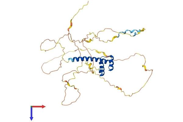HOXA10 Protein (AA 1-416) (His tag)