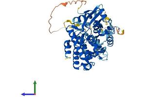 AlphaFold protein structure predicition of Mouse Recombinant Irak4 Protein, UniprotID Q8R4K2