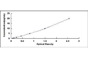 Typical standard curve (NMDAR2A ELISA Kit)